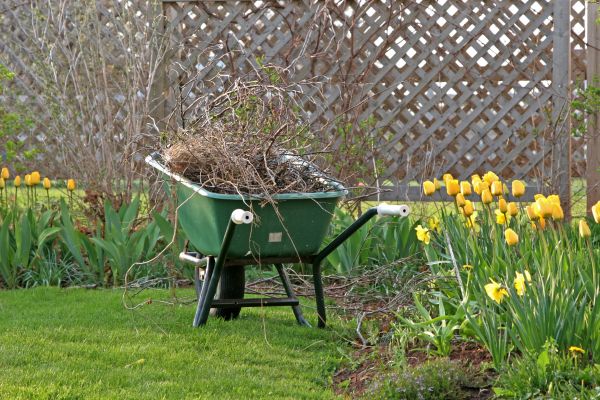 Flower Bed Cleanup Service in Redwood City