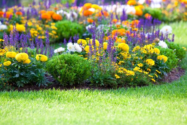 Flower Bed Maintenance in Redwood City