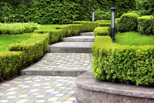 Backyard Remodeling in Redwood City