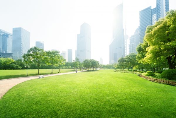 Commercial Landscape Maintenance in Redwood City