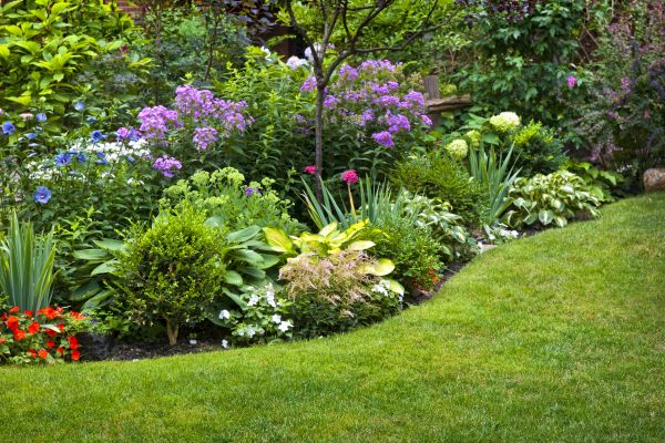 Flower Bed Service in Redwood City