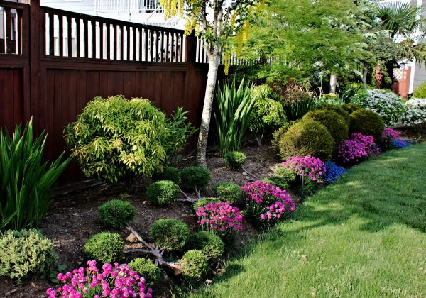 Garden Care Service in Redwood City
