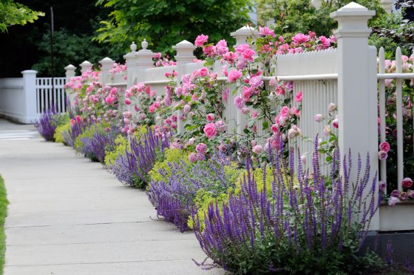Garden Handyman Service in Redwood City