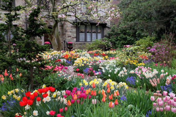 Garden Maintenance Service in Redwood City