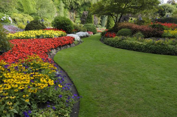Landscaping Maintenance in Redwood City