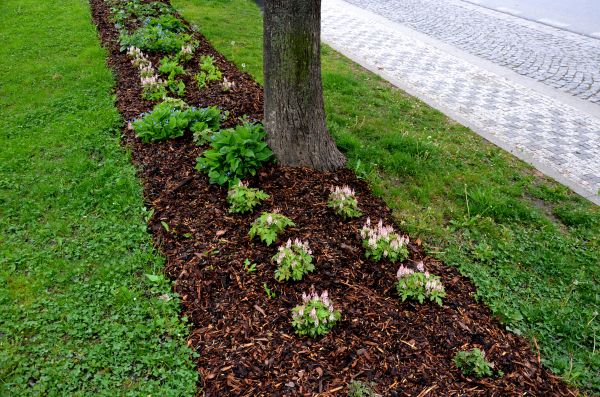 Mulch Replacement Service in Redwood City