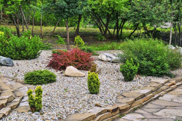 Rock Landscaping in Redwood City