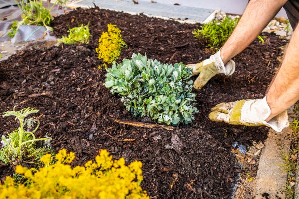 Weeding And Mulching in Redwood City