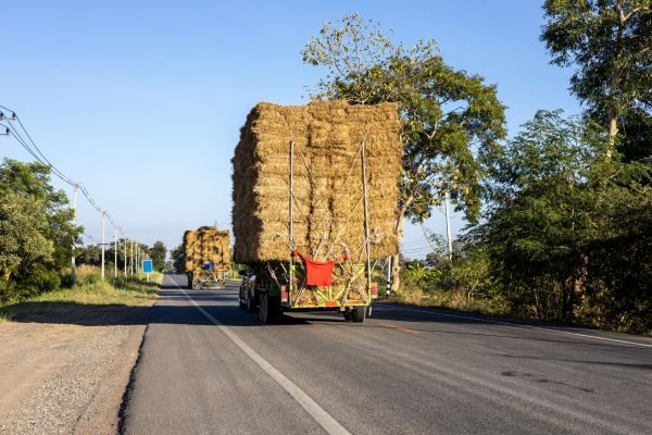 Pine Straw Delivery in Redwood City
