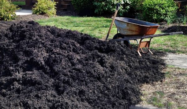 Black Mulch Delivery in Redwood City