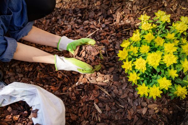 Garden Mulching in Redwood City