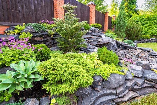 Landscape Remodeling in Redwood City