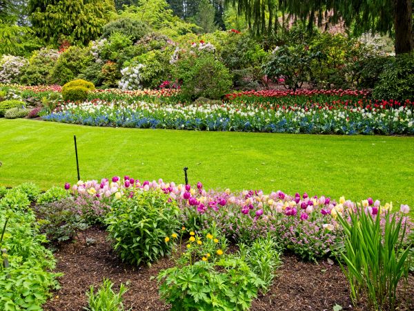Residential Landscape Design in Redwood City