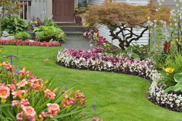 Perennial Landscaping in Redwood City