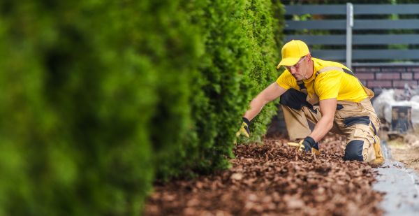 Cypress Mulch Installation in Redwood City
