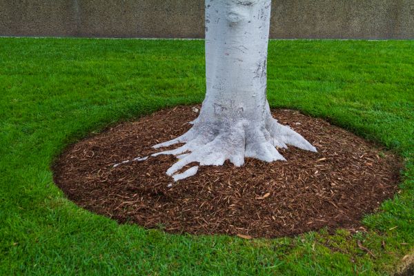 Brown Mulch Installation in Redwood City