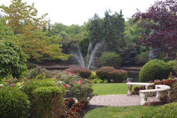Courtyard Design Service in Redwood City