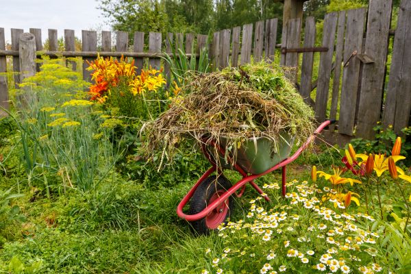 Garden Cleanup Service in Redwood City