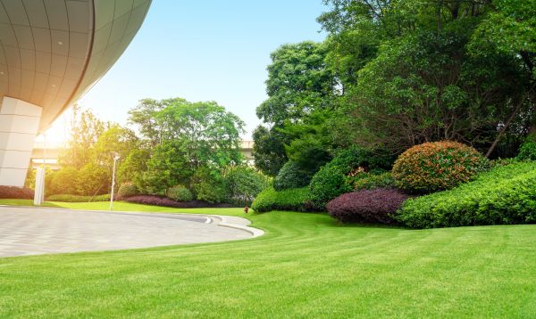 Business Landscape Design in Redwood City