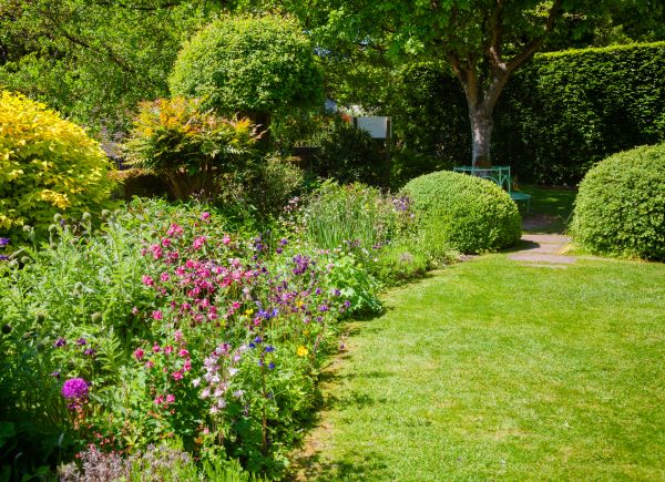 Yard Landscaping Service in Redwood City