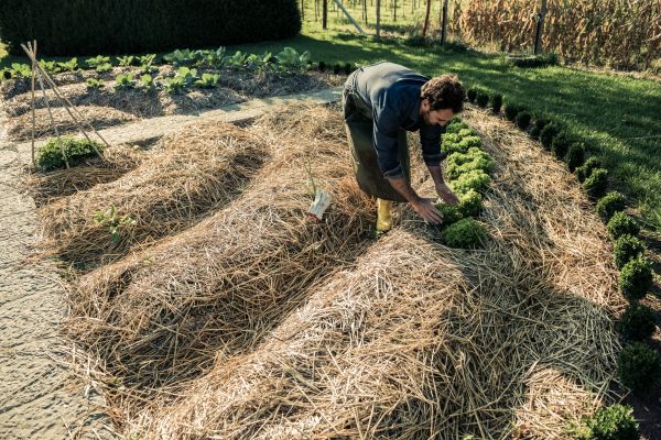 Straw Mulching Service in Redwood City