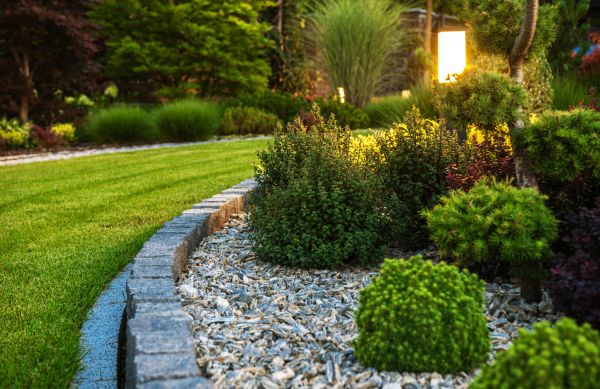 Landscaping Service in Redwood City