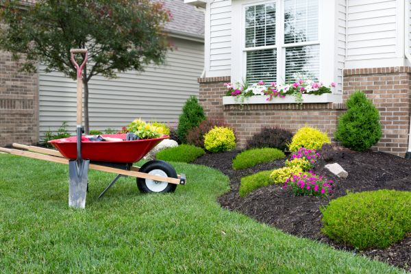 Tree And Shrub Planting in Redwood City