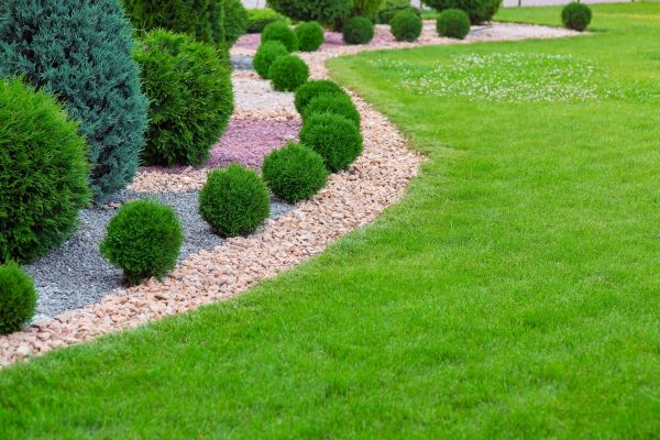 Edging Stones Installation in Redwood City