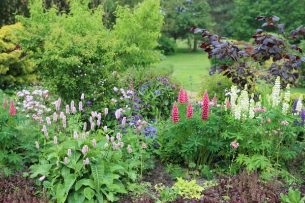Flower Bed Planting in Redwood City