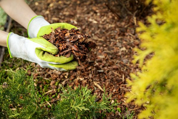 Garden Mulch Delivery in Redwood City