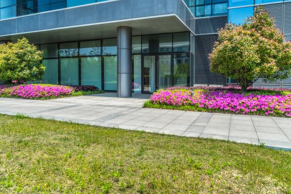 Commercial Gardening in Redwood City