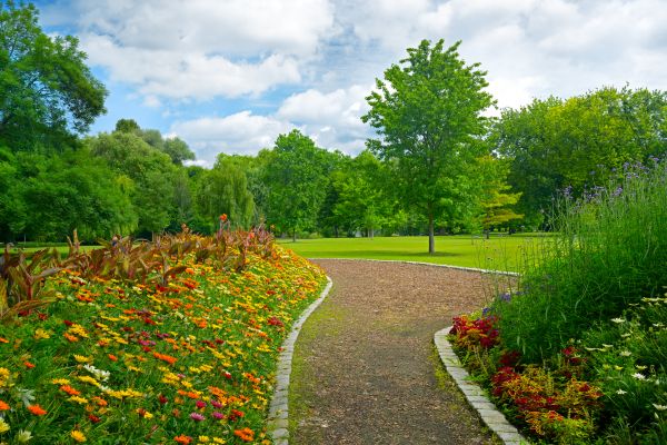 Park Landscaping in Redwood City