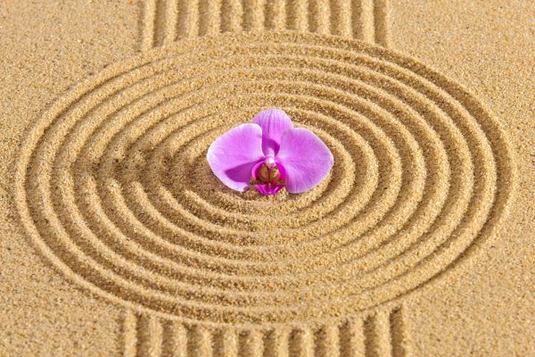 Sand Garden Landscaping in Redwood City
