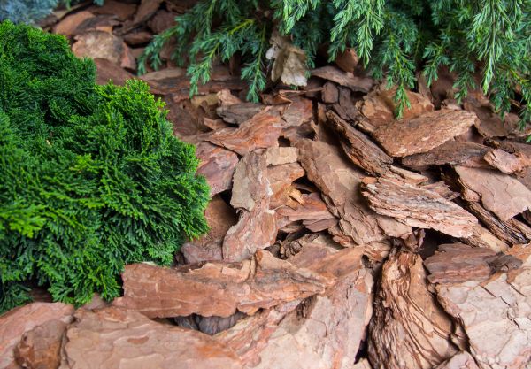 Pine Bark Installation in Redwood City