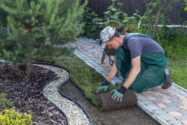 Landscaping Modification in Redwood City