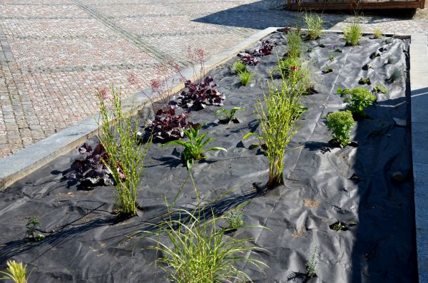 Landscape Fabric Installation in Redwood City
