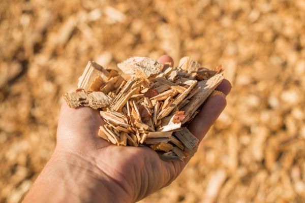 Wood Chips Spreading in Redwood City