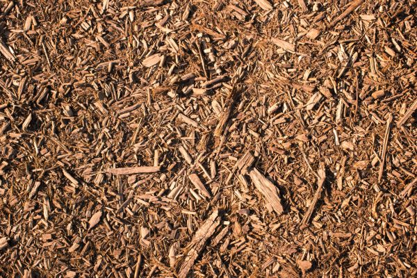 Wood Chips Removal in Redwood City