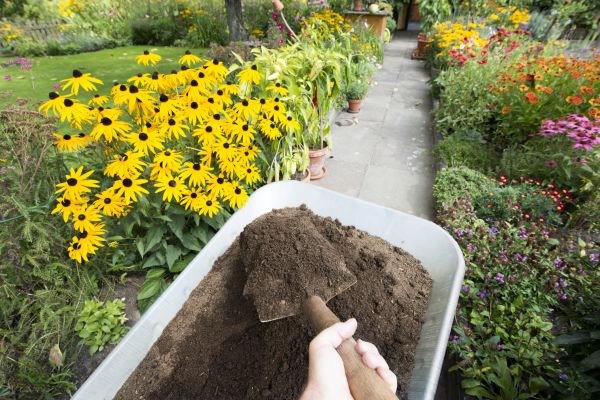 Topsoil Replacement in Redwood City