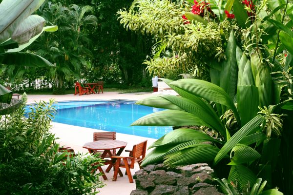 Pool Area Landscaping in Redwood City