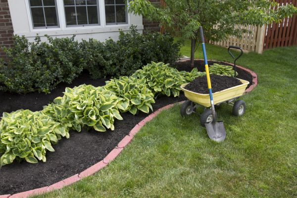 Landscape Mulching in Redwood City