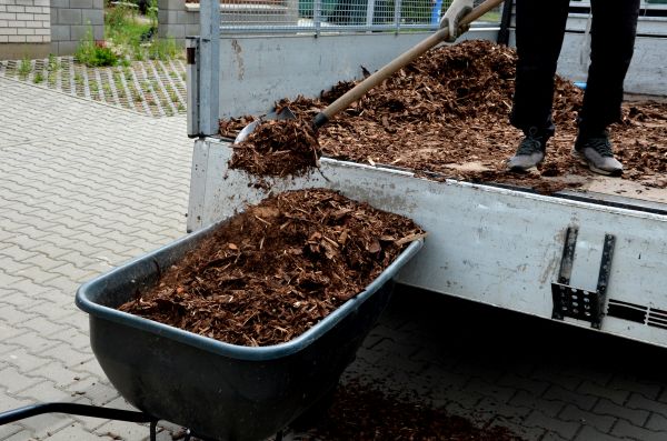 Cedar Mulch Delivery in Redwood City