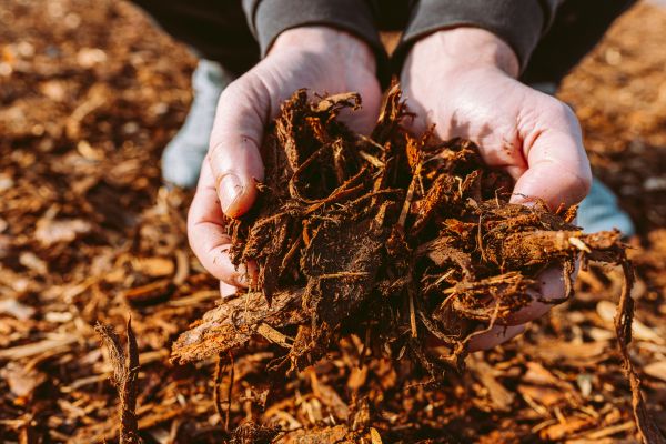 Bark Chips Delivery in Redwood City