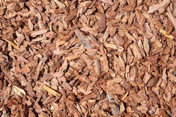 Pine Mulch Spreading in Redwood City
