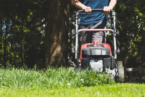 Garden Trimming Service in Redwood City