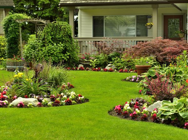 Flower Garden Planting in Redwood City