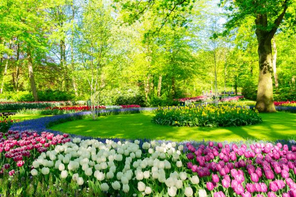 Flower Landscaping in Redwood City