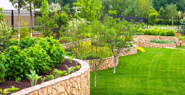 Yard Makeover Service in Redwood City