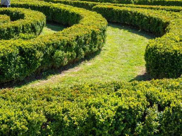Bush Landscaping in Redwood City