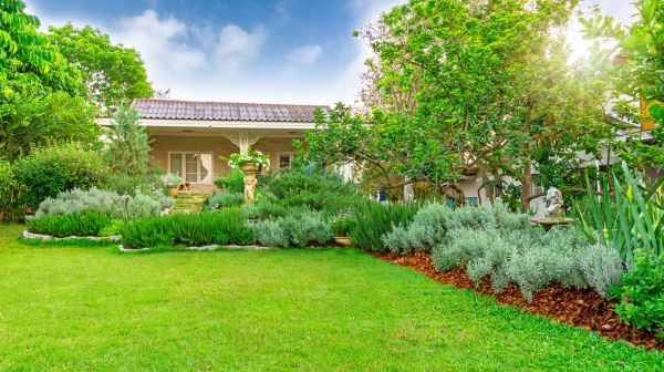 Greenery Planting in Redwood City
